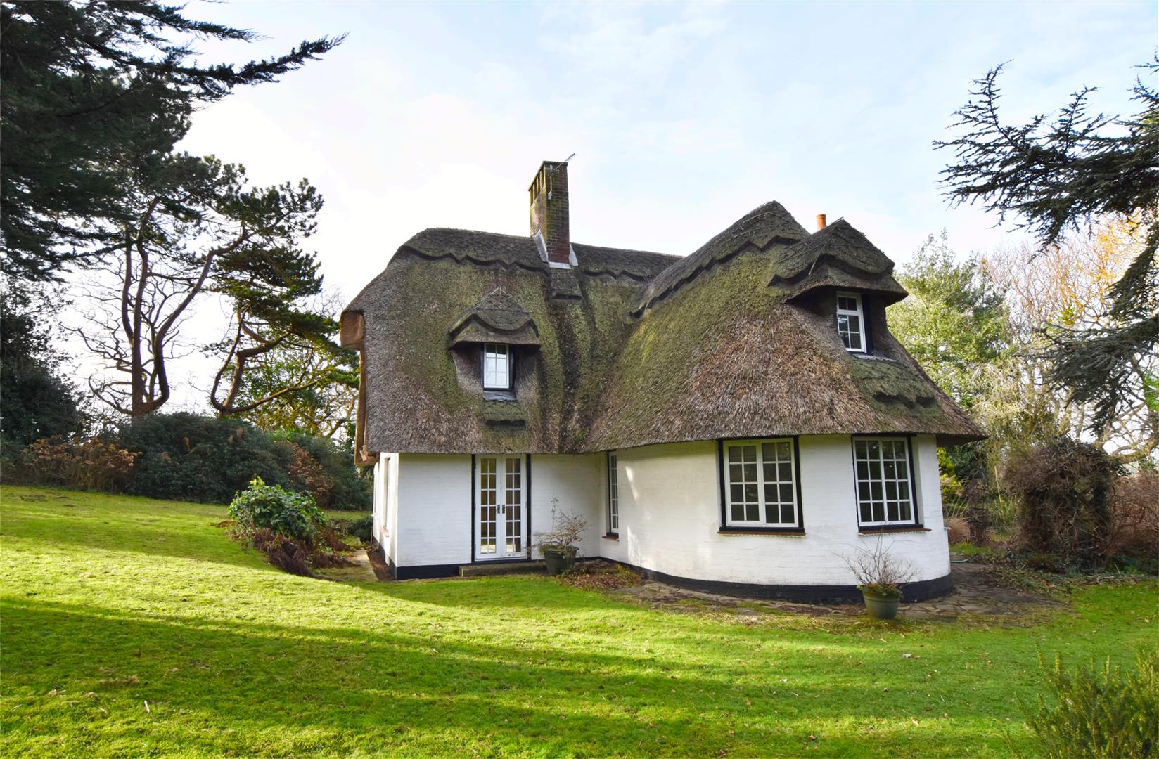 Cliff End Lane, Pett Level Rush, Witt & Wilson